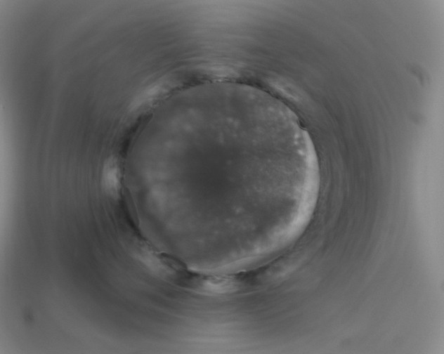 X0000113270720200910011428