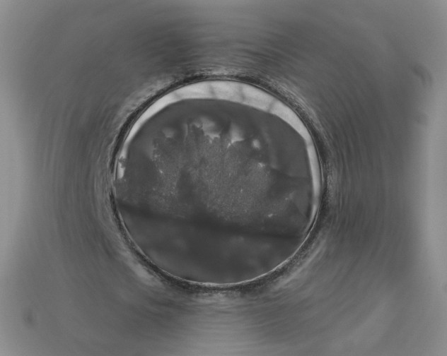 X0000113270721200910011427