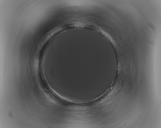 X0000113270722200910011427