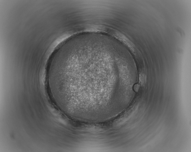 X0000113270724200910011427