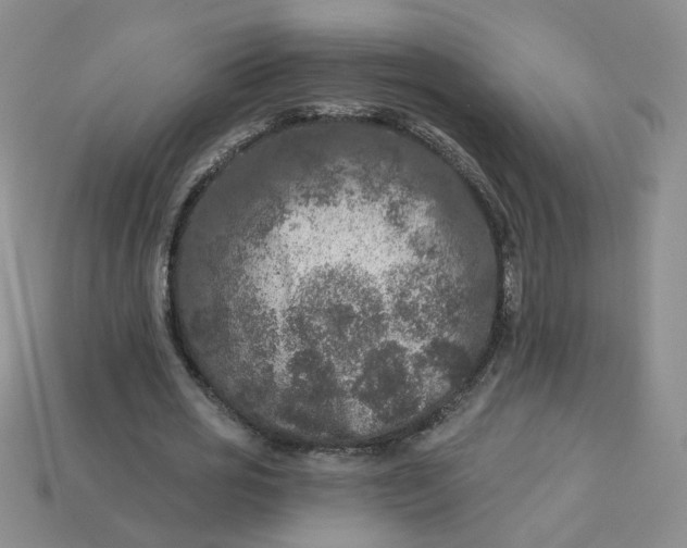 X0000113270725200910011427