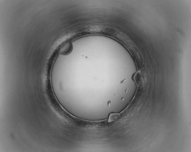 X0000113270728200910011427