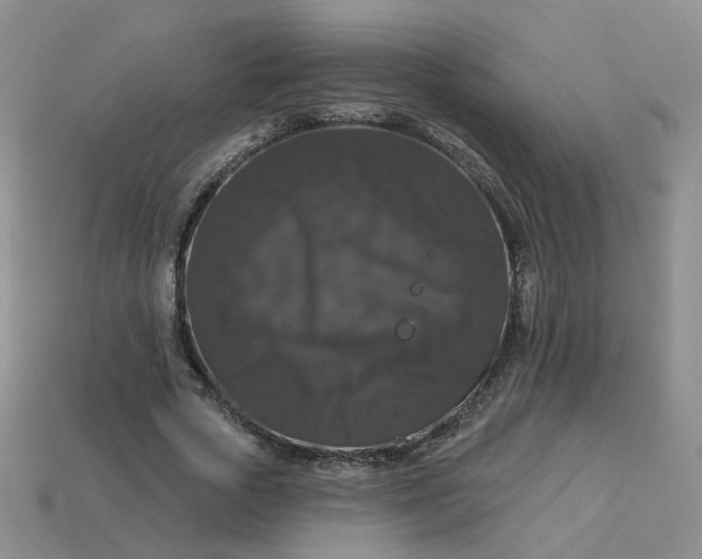 X0000113270729200910011427