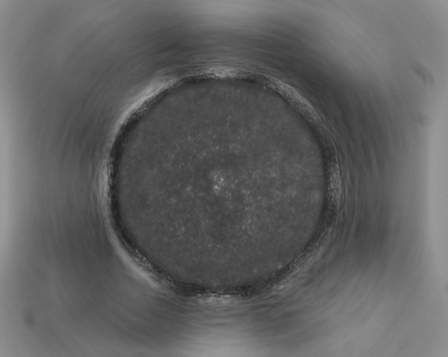 X0000113270730200910011427