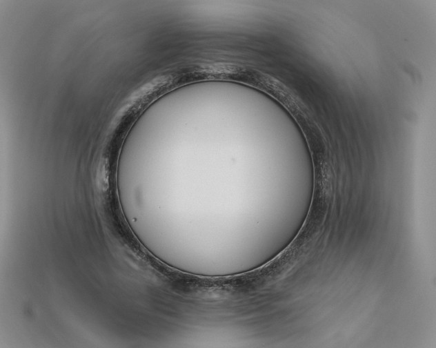 X0000113270731200910011427