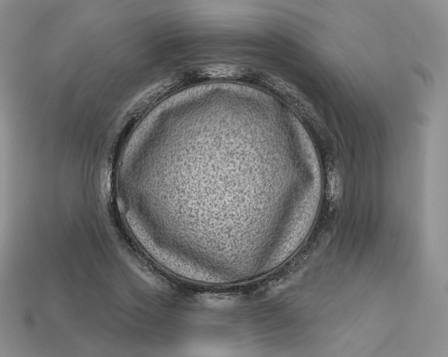 X0000113270733200910011427