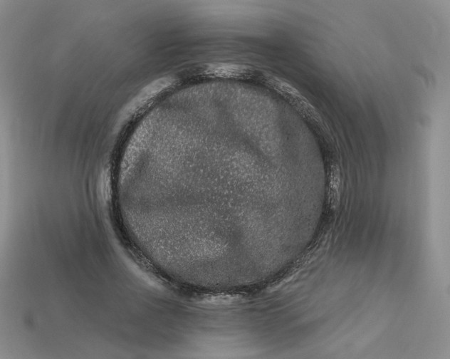 X0000113270734200910011427