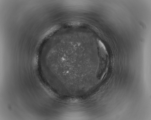 X0000113270735200910011427