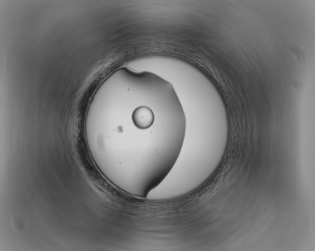 X0000113270736200910011427