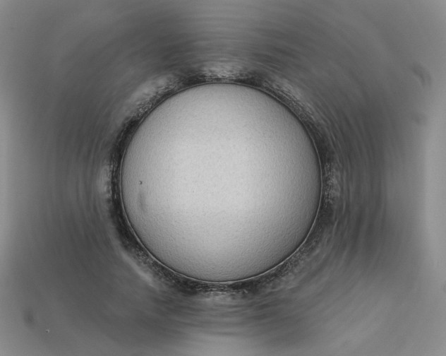 X0000113270738200910011427