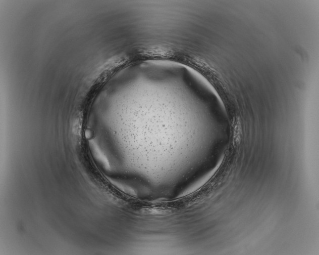 X0000113270739200910011427