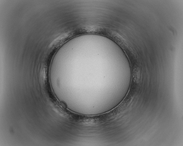 X0000113270740200910011427