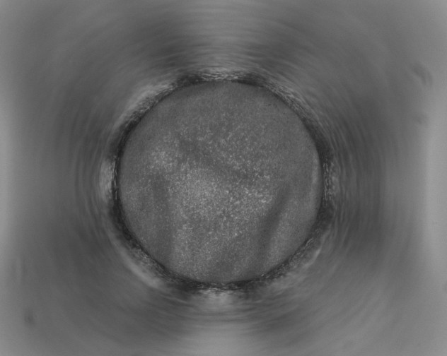 X0000113270742200910011428