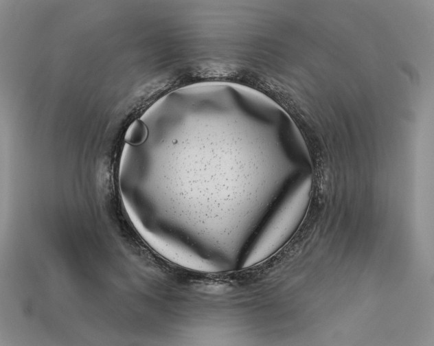 X0000113270743200910011428