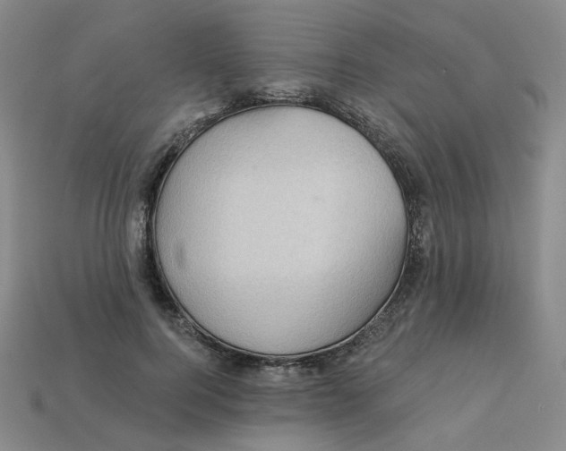 X0000113270744200910011428