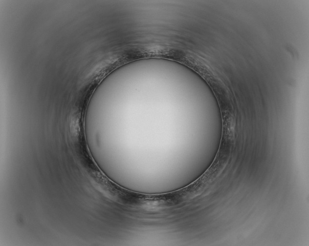 X0000113270746200910011428