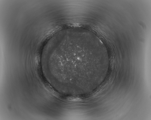 X0000113270747200910011428