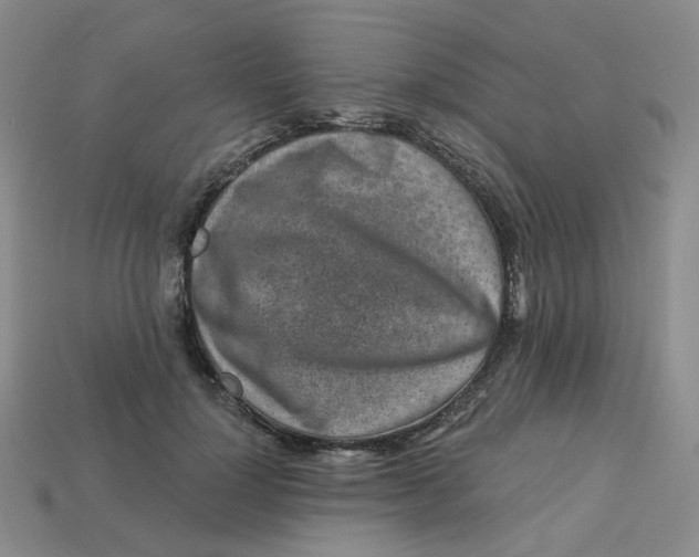 X0000113270748200910011428