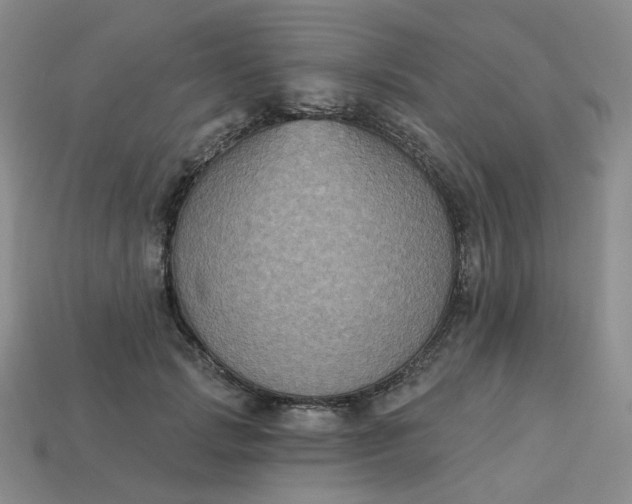 X0000113270749200910011428