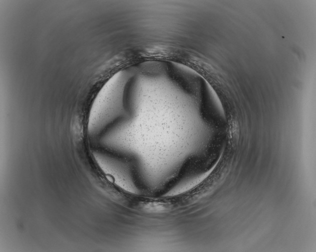 X0000113270751200910011428