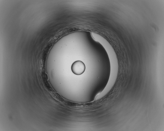 X0000113270752200910011428