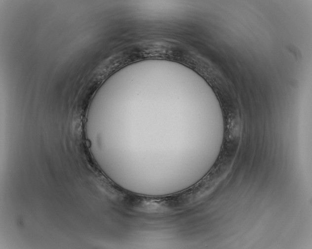 X0000113270753200910011428