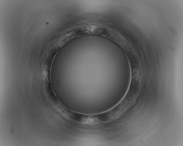 X0000113270754200910011428