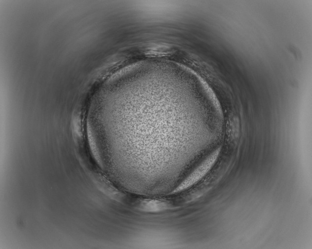 X0000113270755200910011428