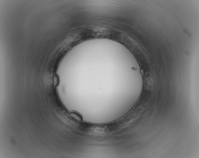 X0000113270756200910011428