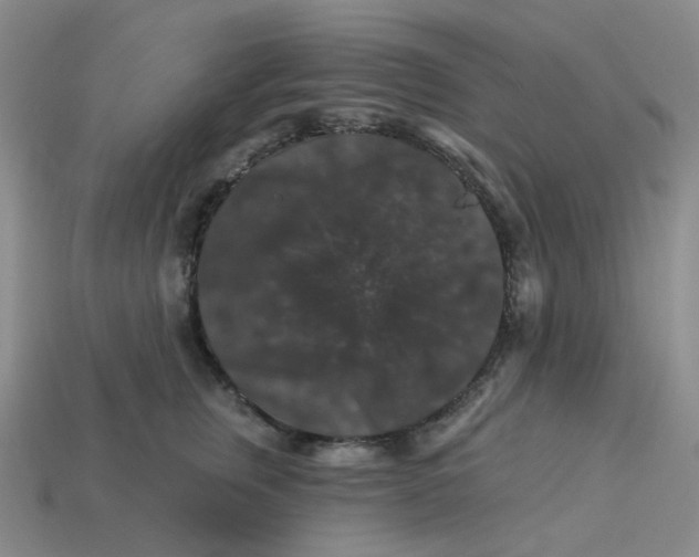 X0000113270759200910011428