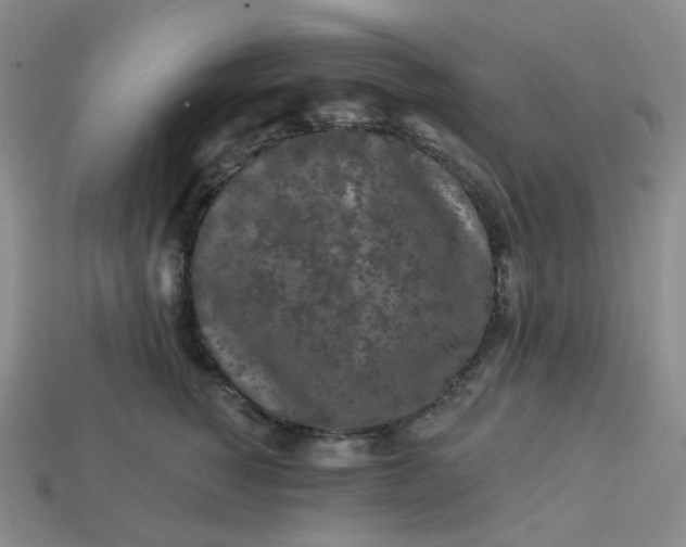 X0000113270760200910011428