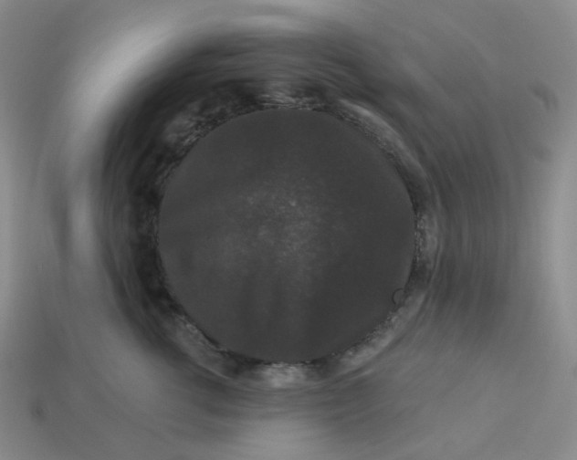 X0000113270762200910011428