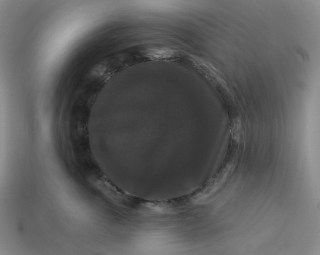 X0000113270763200910011428