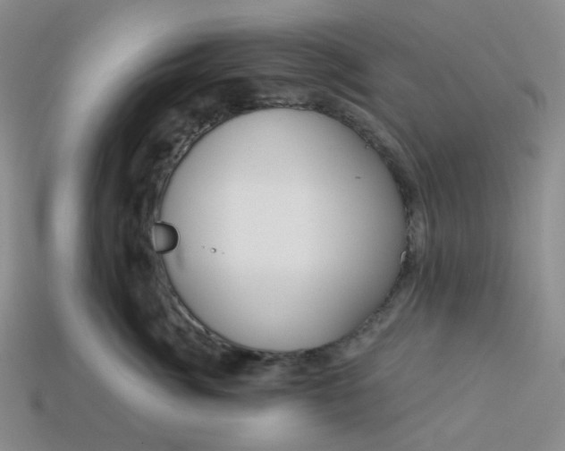 X0000113270764200910011428