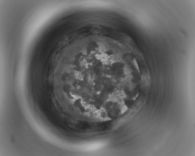 X0000113270765200910011428