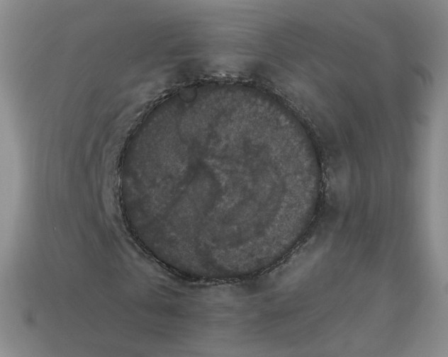 X0000113270769200910011427