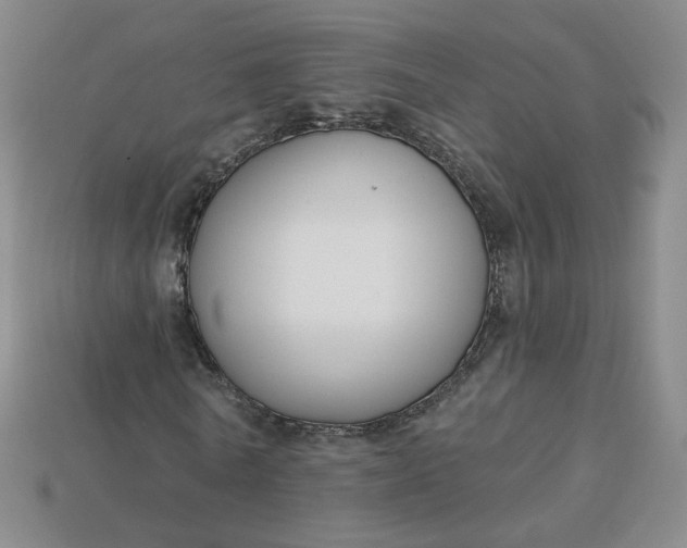 X0000113270770200910011427