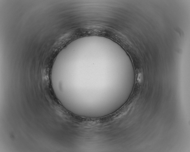 X0000113270771200910011427