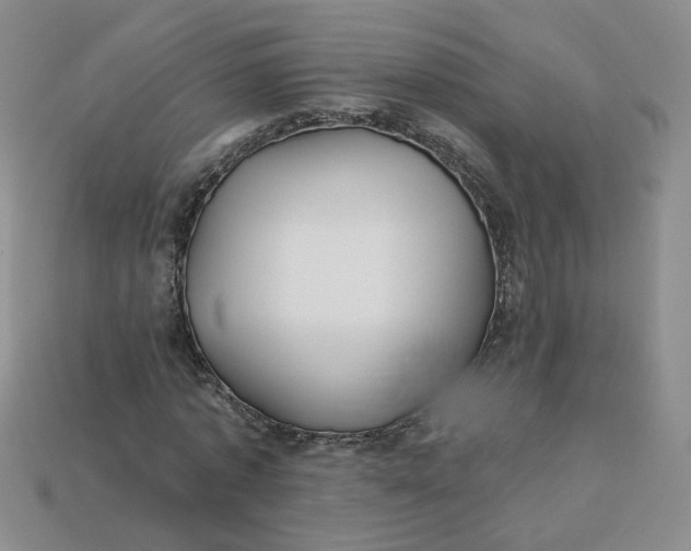 X0000113270773200910011427