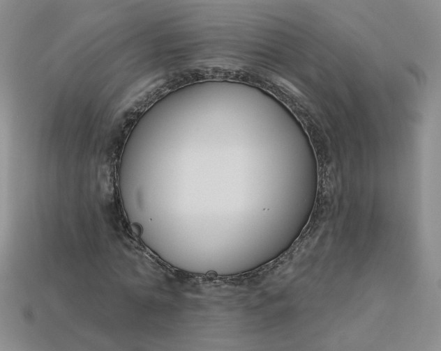 X0000113270774200910011427