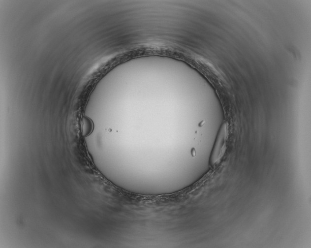 X0000113270776200910011427