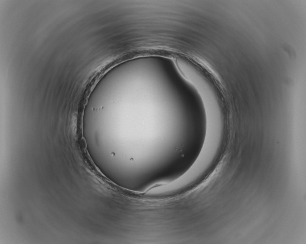 X0000113270777200910011427