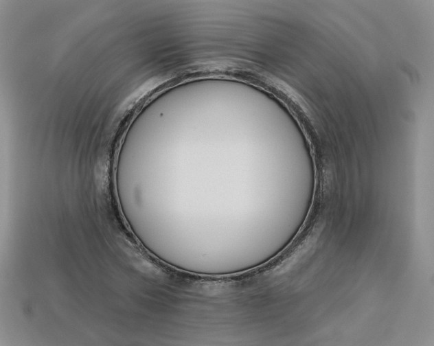 X0000113270778200910011427