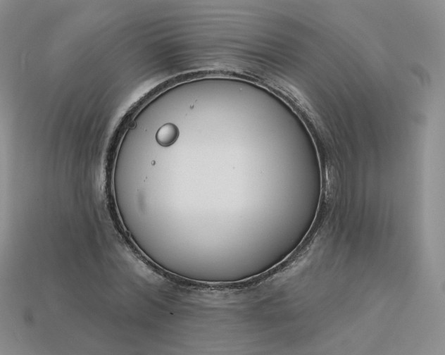 X0000113270780200910011427