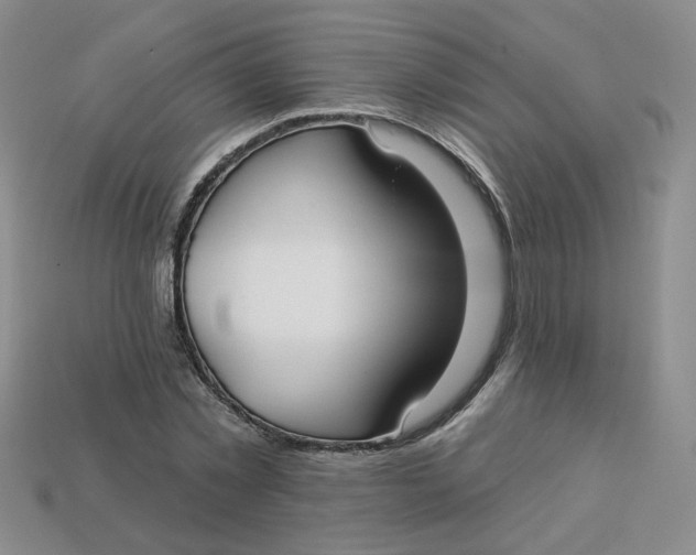 X0000113270781200910011427