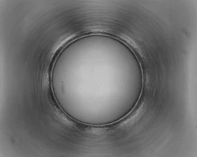 X0000113270782200910011427