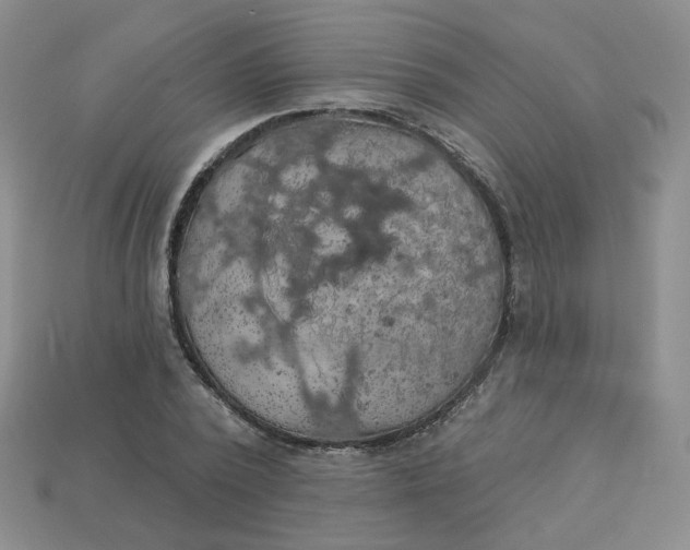 X0000113270784200910011427