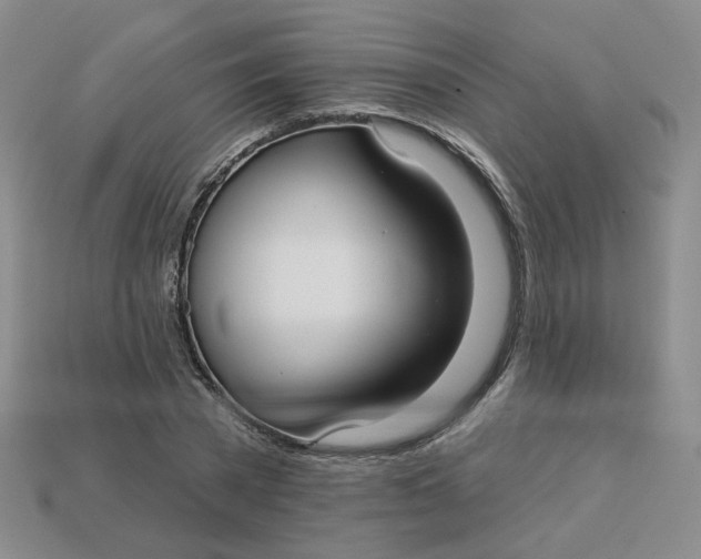 X0000113270785200910011427