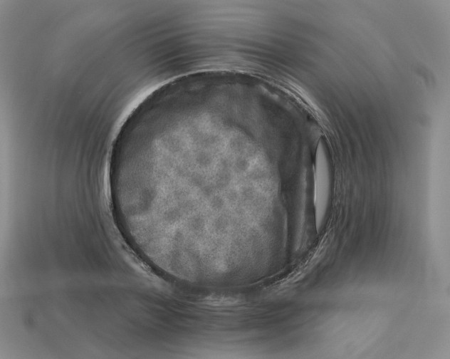 X0000113270788200910011427