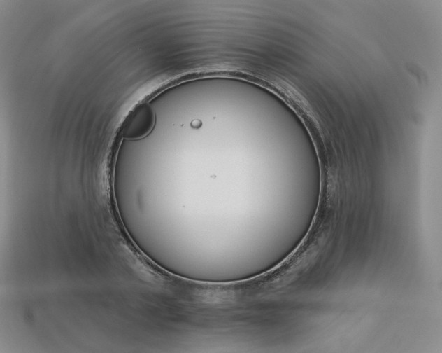 X0000113270789200910011427